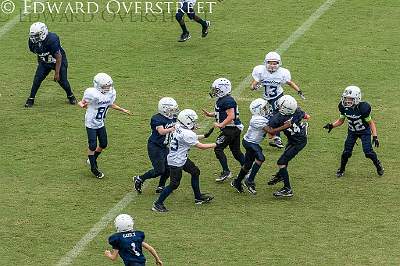 Dist 6 Jamboree 1229